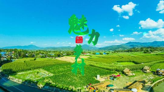 乡村旅游绿色e3d竖版标题片头ae模板
