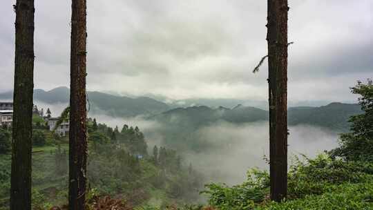 4K高山云海延时风光