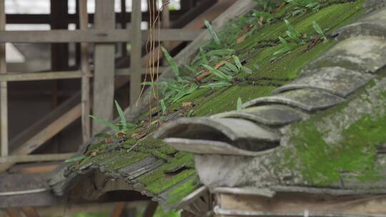 古建筑屋檐瓦片青苔特写画面