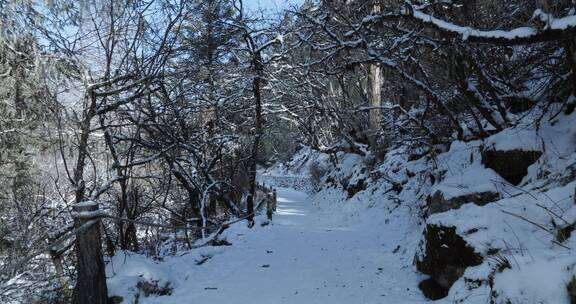 冬季毕棚沟美景积雪林间小路