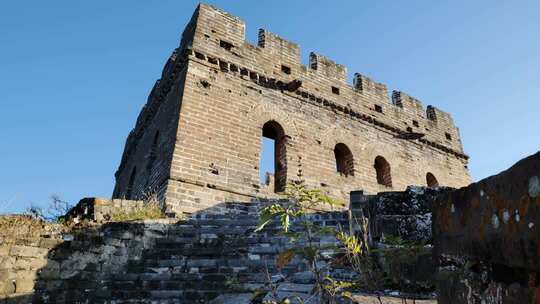 长城遗址上顽强生长的野草特写中国历史文化