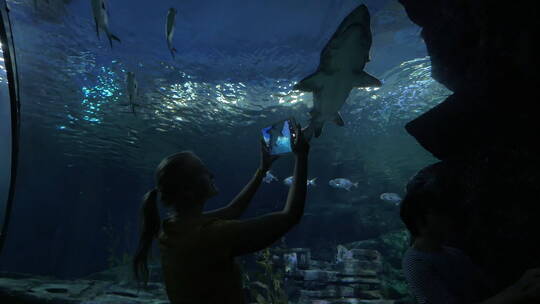 女子在水族馆水下隧道中拍摄