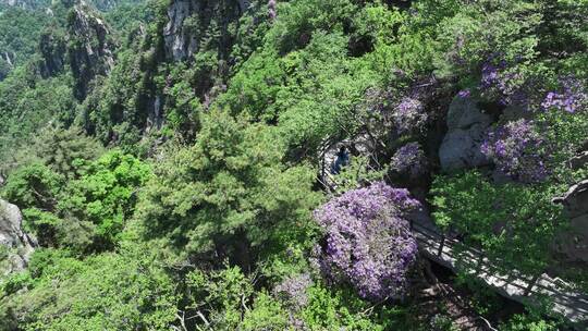 河南伏牛山山脉平顶山尧山层峦叠嶂的山峰