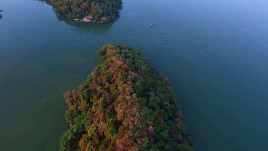 绿水青山航拍大自然湖泊乡村振兴自然森林