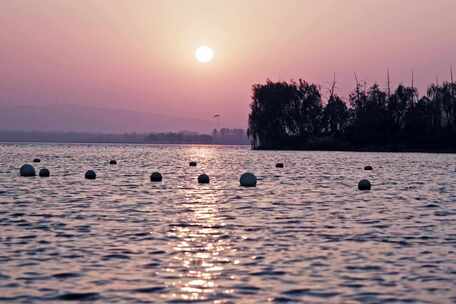 夕阳下海水波动黄昏海面