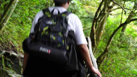 清晨爬山登山上楼梯背影脚步特写森林爬楼梯