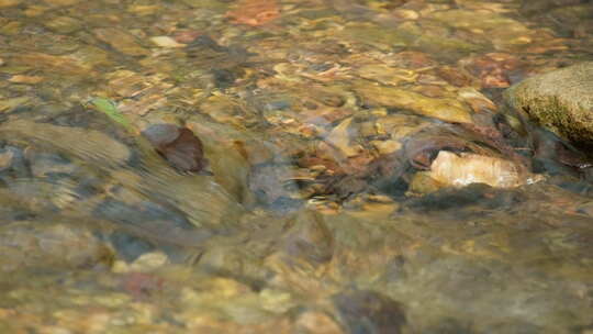 山涧温泉水清澈小溪潺潺流水