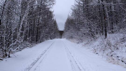 行驶在林海雪原的雪路上