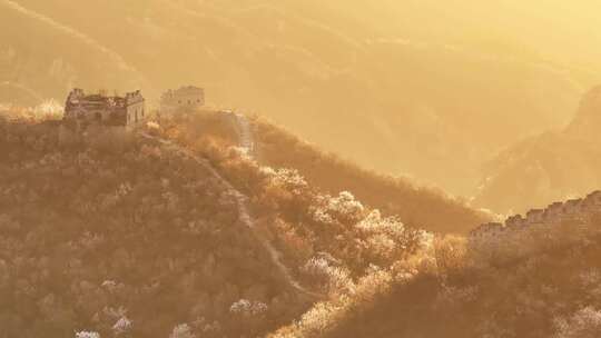 航拍春天的长城日出阳光照耀在漫山遍野