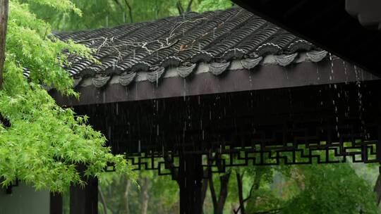 167 杭州 风景 古建筑 下雨天 树叶 屋檐