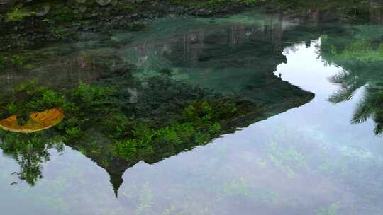 巴厘岛印度教寺庙圣泉寺的火山泉水倒影