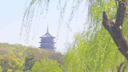 【合集】杭州西湖春天风景