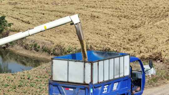 航拍农村田野收割小麦收割机运输视频素材模板下载