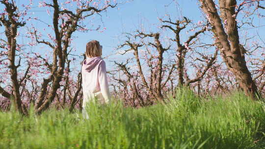 女性游客喜欢在一排排树上散步时绽放的粉红