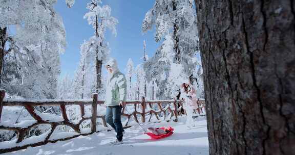 高清实拍瓦屋山冬天雪景雪山森林