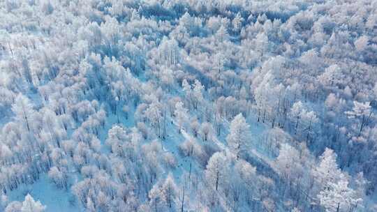 梦幻雪景森林雾凇北国风光