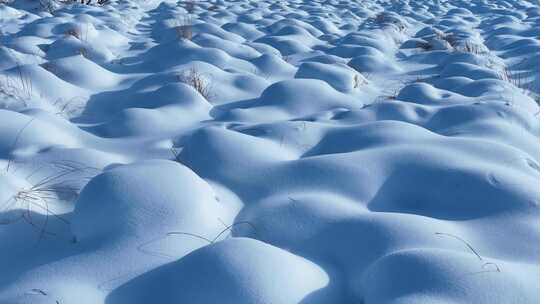 寒冬湿地草甸雪包雪景