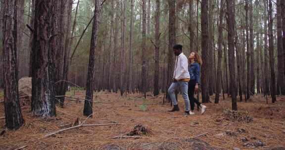 情侣，冒险，森林，树木
