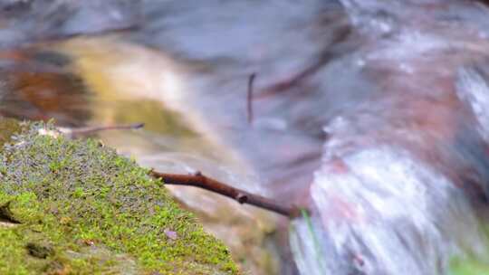 杭州植物园小溪流水风景视频素材视频素材模板下载