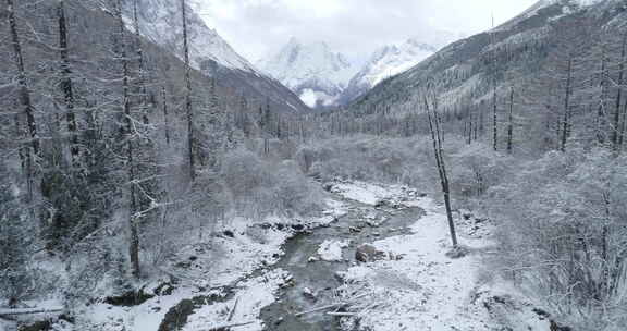 川西四姑娘山冬季双桥沟山谷溪流森林雪山