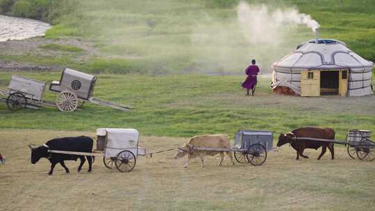 【10条合集】蒙古族民俗文化-157