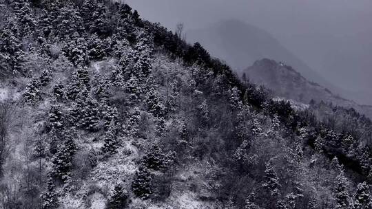 秦岭冬天下雪 白雪皑皑视频素材模板下载