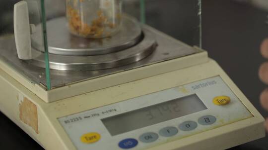 粉碎榨菜取样实验室检测视频素材模板下载