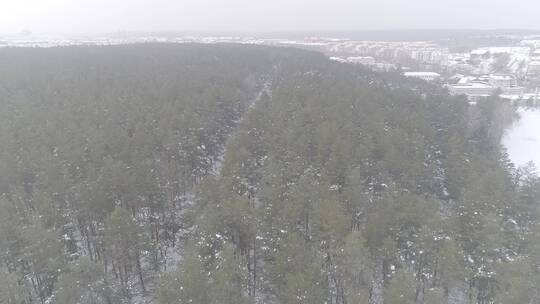 唯美长白山冬季雪景原始森林航拍视频素材模板下载
