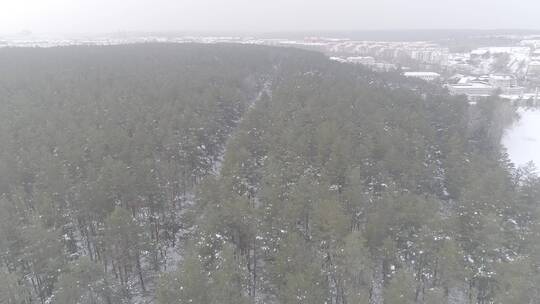 唯美长白山冬季雪景原始森林航拍