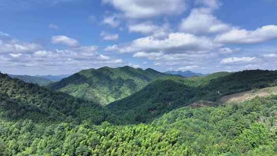 蓝天白云下的广袤葱郁山林景观