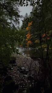 青山绿水，治愈系风景