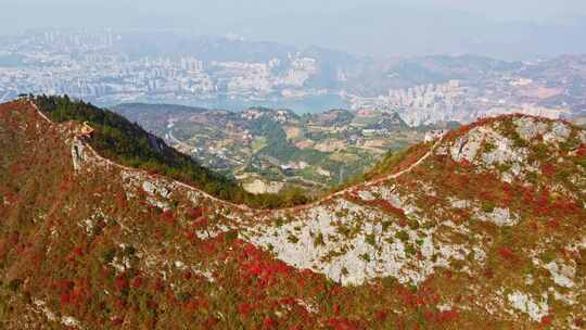 长江三峡巫峡红叶