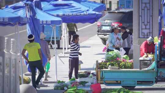 内蒙和林格尔县街道人文