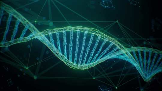 信息化科技DNA