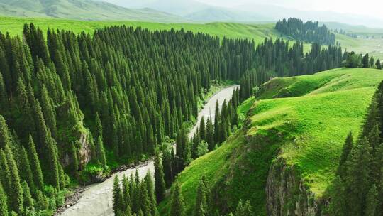 航拍绿色森林河流大自然风景