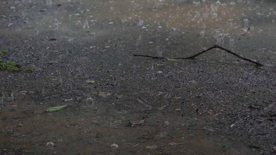 雨水拍打地面