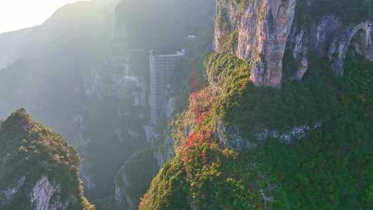 三峡红叶