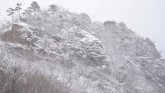 漫天飞雪大雪封山