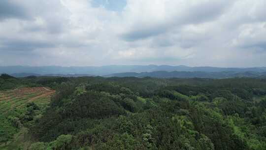 航拍丘陵大山森林