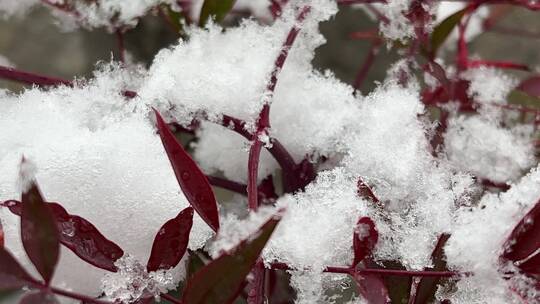 冬天的白雪视频