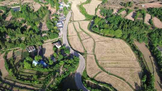 乡村振兴、土地山野