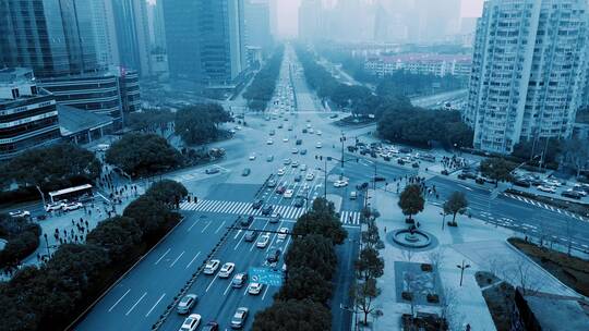 上海世纪大道清晨风光