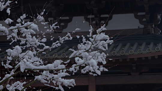 杭州径山寺中式古建筑寺庙雪景