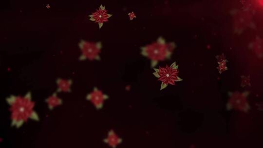 暗红色长寿花花朵飘飞LED唯美演绎背景