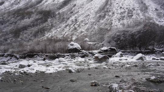 雪山海螺沟