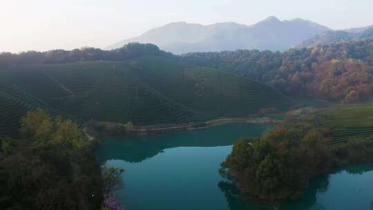 杭州春天风光西湖龙井产地龙坞茶园