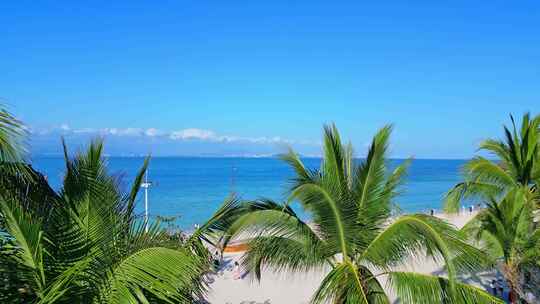 海南三亚蓝天白云下随风摇曳的椰子树大海