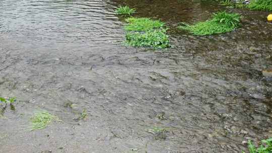 清澈河水河流水源水流溪流溪水