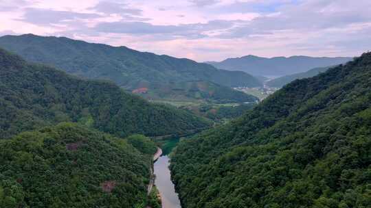 河流穿过乡村的绿色稻田