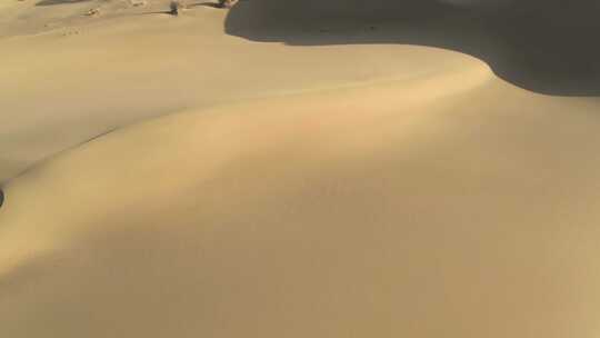 沙漠干旱荒芜绿洲西北甘肃 (2)